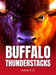 Buffalo Thunderstacks