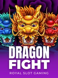 Dragon Fight